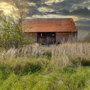 Domy, które czekają. Historie, które zasługują na dobre zakończenie.